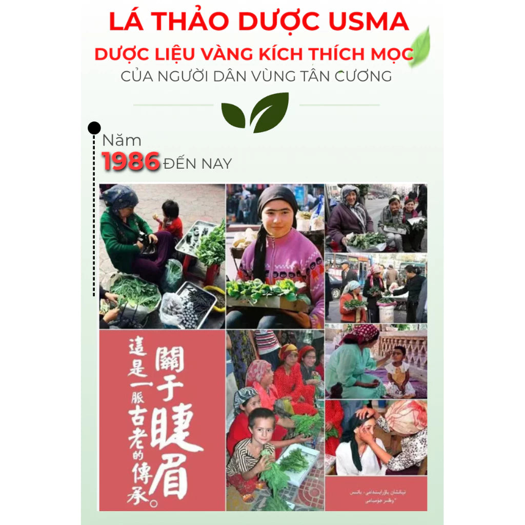 Serum thảo dược Usma kích mọc lông mi mày tóc, serum cỏ Usma Tân Cương 3in1 giúp mi mày tóc chắc khoẻ mọc nhanh
