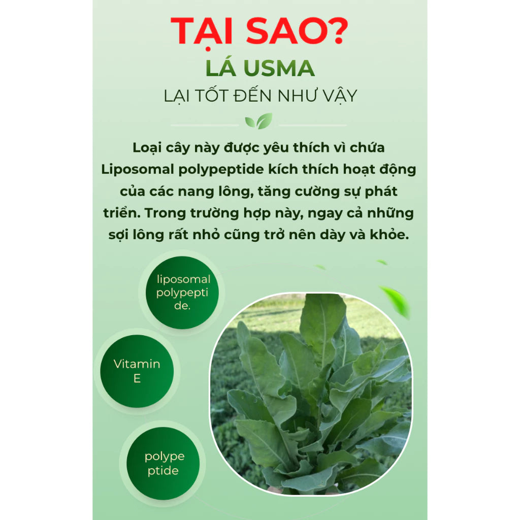 Serum thảo dược Usma kích mọc lông mi mày tóc, serum cỏ Usma Tân Cương 3in1 giúp mi mày tóc chắc khoẻ mọc nhanh