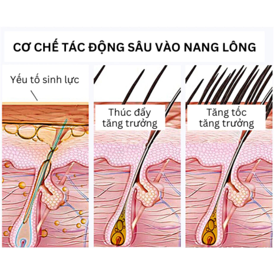 Serum thảo dược Usma kích mọc lông mi mày tóc, serum cỏ Usma Tân Cương 3in1 giúp mi mày tóc chắc khoẻ mọc nhanh