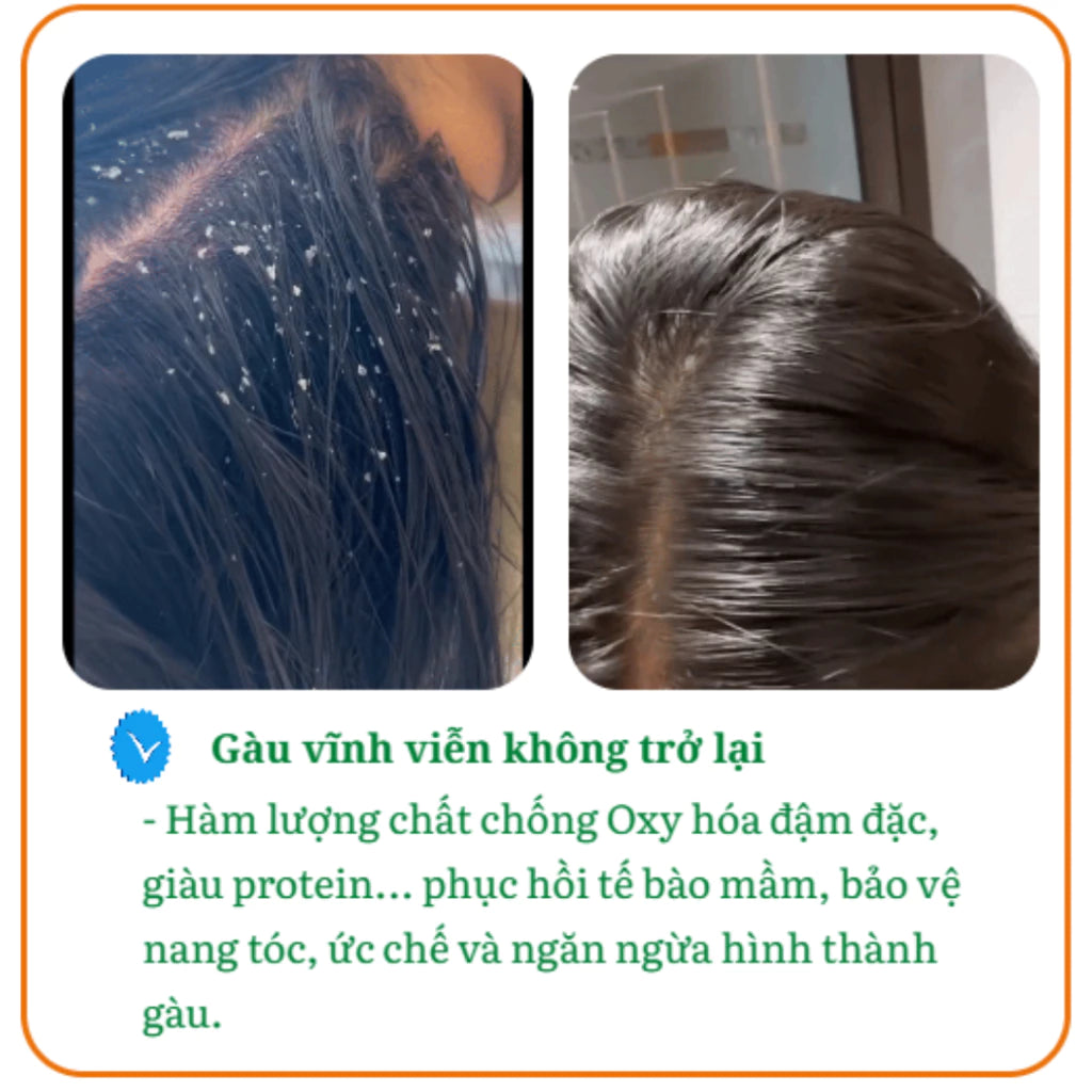 Herbal Plant Extract Hair Dye Shampoo - Naturally dyes hair black, nourishes hair from within, eliminates dryness and brittleness.