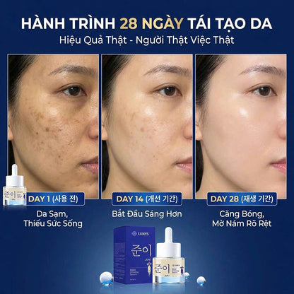 🌿🌿🌿 KOREAN BLACK GINSENG ESSENCE SERUM – LUNYS