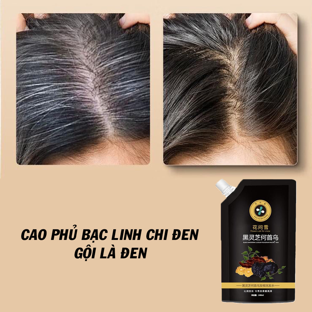 Black Ganoderma silver-coated shampoo