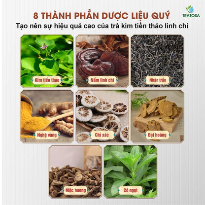 Trà kim tiền thảo linh chi 8 vị hỗ trợ trị sỏi thận, sỏi bàng quang, thận yếu, tiểu đêm, viêm tiết niệu