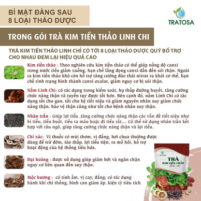 Trà kim tiền thảo linh chi 8 vị hỗ trợ trị sỏi thận, sỏi bàng quang, thận yếu, tiểu đêm, viêm tiết niệu