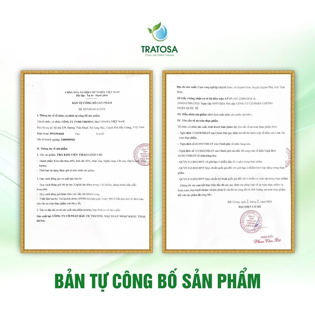 Trà kim tiền thảo linh chi 8 vị hỗ trợ trị sỏi thận, sỏi bàng quang, thận yếu, tiểu đêm, viêm tiết niệu