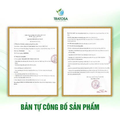 Trà kim tiền thảo linh chi 8 vị hỗ trợ trị sỏi thận, sỏi bàng quang, thận yếu, tiểu đêm, viêm tiết niệu