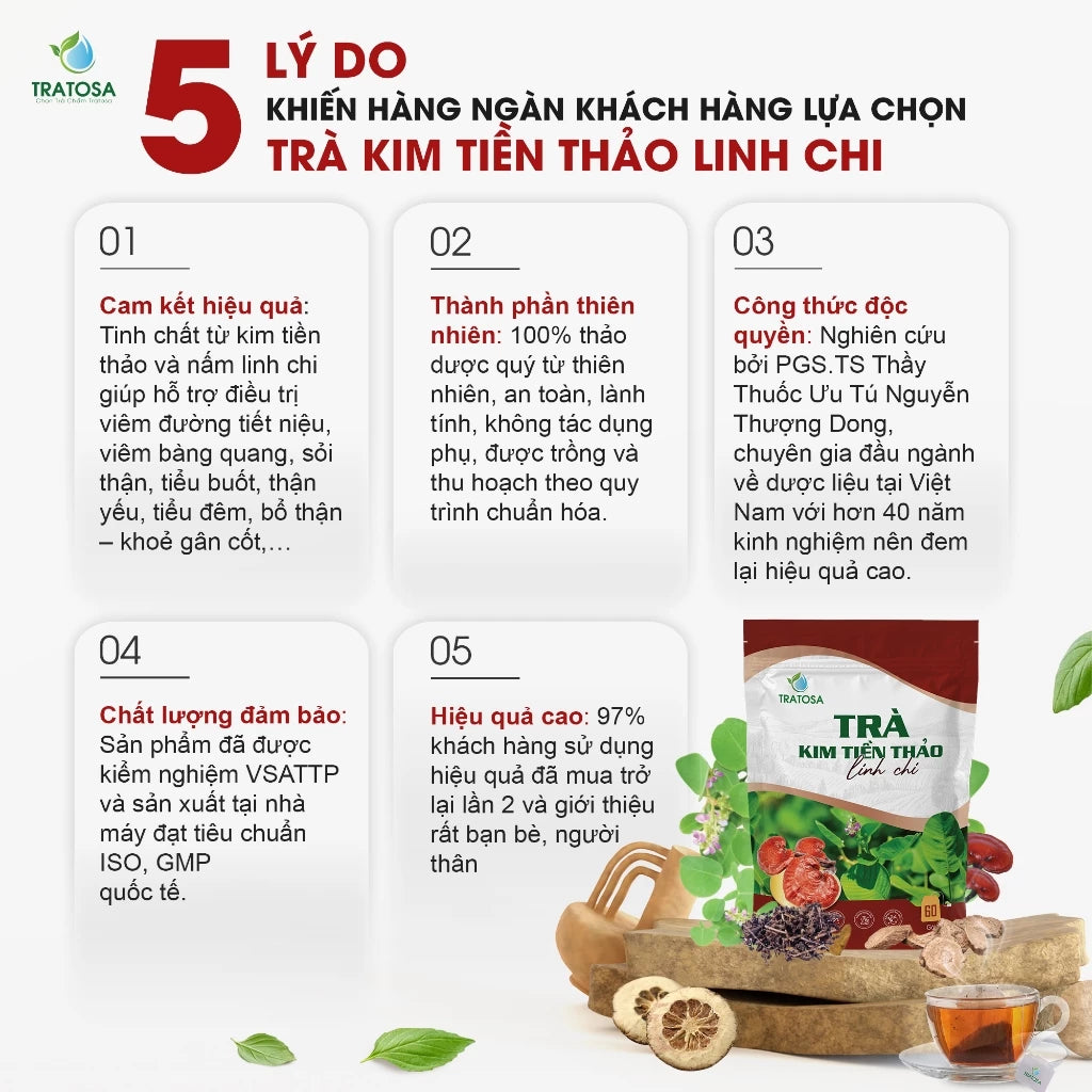 Trà kim tiền thảo linh chi 8 vị hỗ trợ trị sỏi thận, sỏi bàng quang, thận yếu, tiểu đêm, viêm tiết niệu