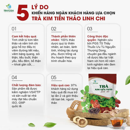 Trà kim tiền thảo linh chi 8 vị hỗ trợ trị sỏi thận, sỏi bàng quang, thận yếu, tiểu đêm, viêm tiết niệu