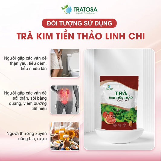 Trà kim tiền thảo linh chi 8 vị hỗ trợ trị sỏi thận, sỏi bàng quang, thận yếu, tiểu đêm, viêm tiết niệu