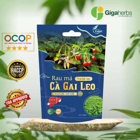 GIGA Pennywort & Solanum Procumbens Tea Bags