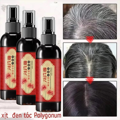 HUNMUI saffron black hair conditioner spray - HUNMUI black hair spray covers gray hair, effectively treating gray hair at home.