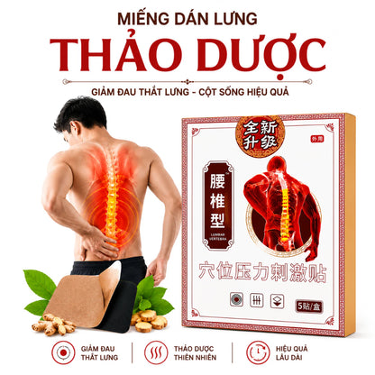 Herbal Back Patch for Muscle Relaxation and Relief of Back Strain/Fatigue