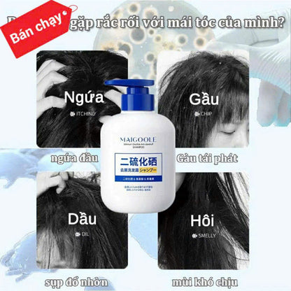 Dau Goi Nam - Maigoole herbal anti-fungal shampoo – relieves itch, soothes scalp, reduces fungal dandruff.