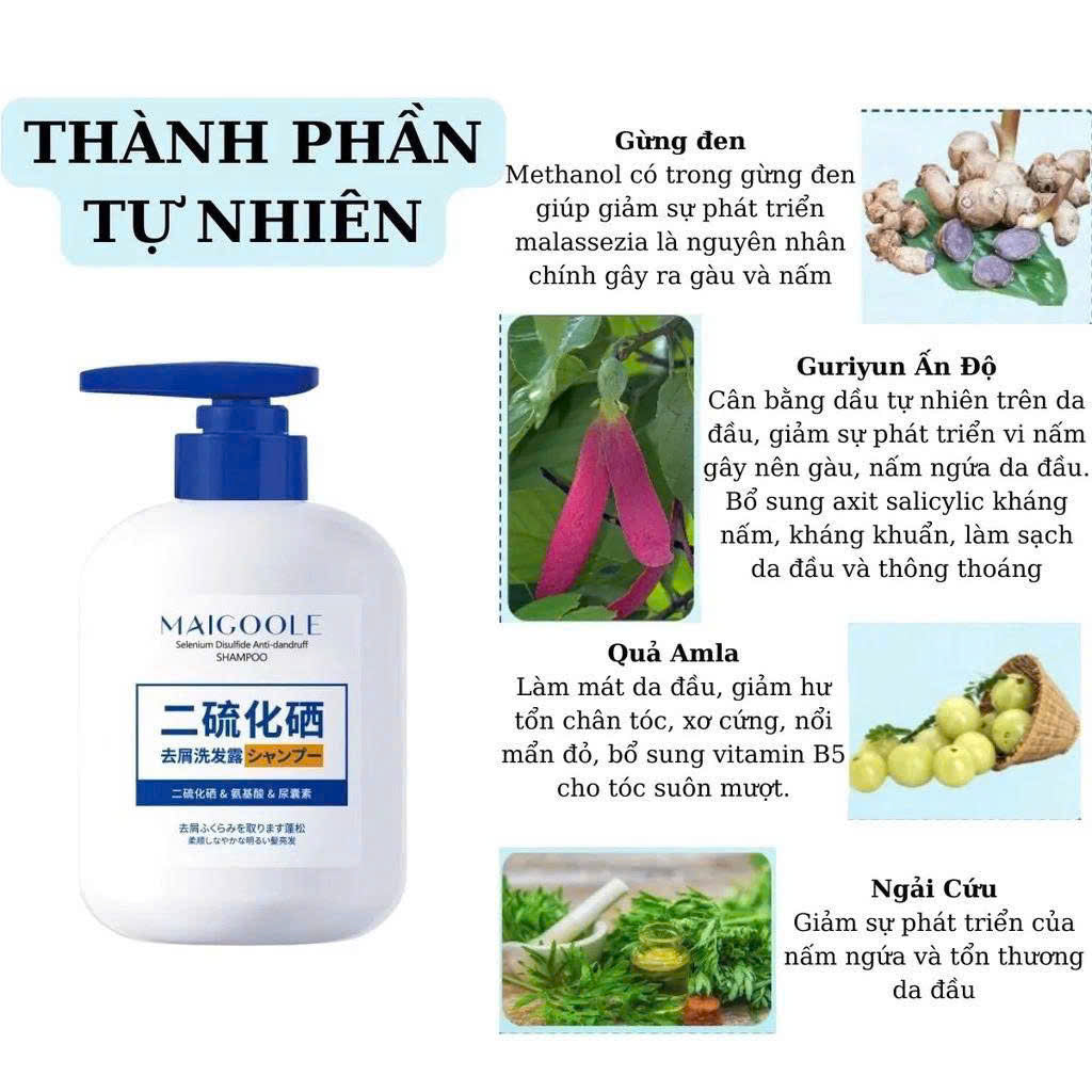 Dau Goi Nam - Maigoole herbal anti-fungal shampoo – relieves itch, soothes scalp, reduces fungal dandruff.